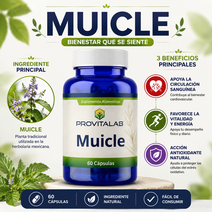 Muicle Provitalab 60 Cápsulas | Apoyo Circulatorio, Antioxidante y Bienestar General