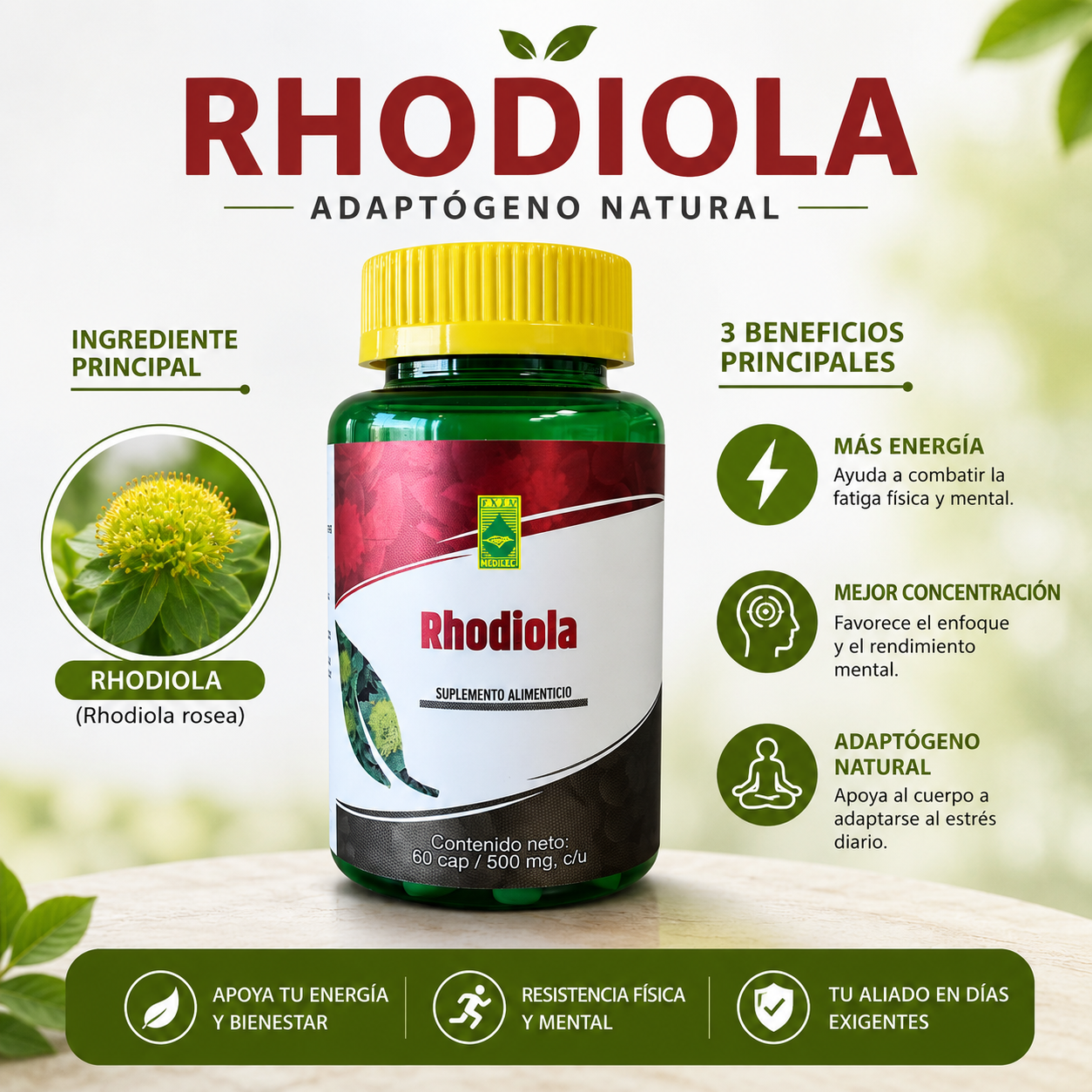 Rhodiola 500 mg | Adaptógeno Natural para Energía, Resistencia Física y Mental | 60 Cápsulas