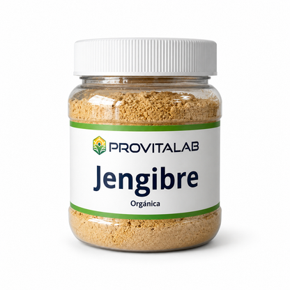 🌿 Jengibre en Polvo – Provitalab (150 g)