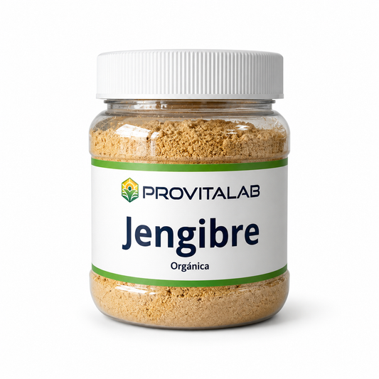 🌿 Jengibre en Polvo – Provitalab (150 g)
