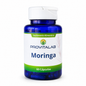 🌿 Moringa – Provitalab (60 cápsulas)